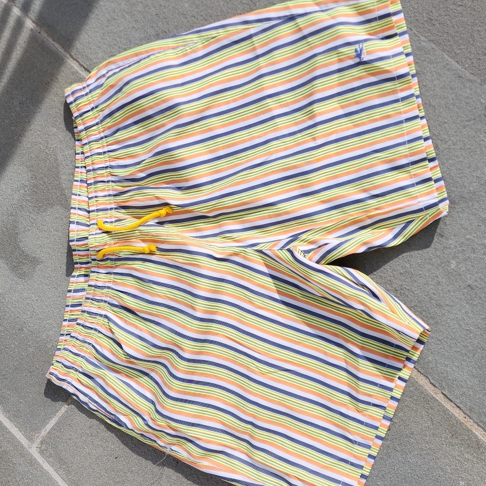 Mens etro bathing suit